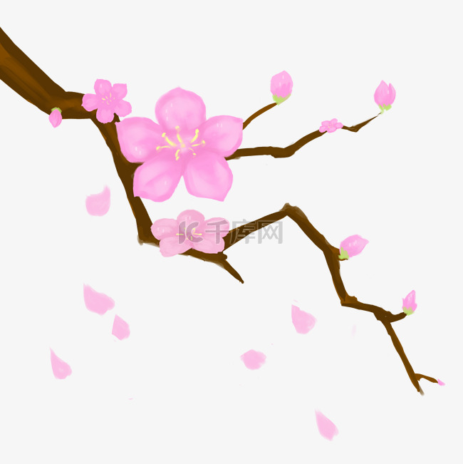 春天的花枝手绘插画