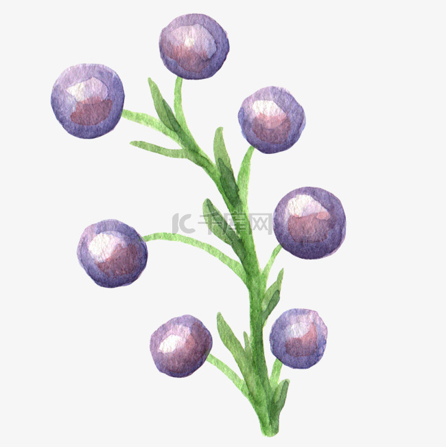  紫蓝色圆球花朵免 