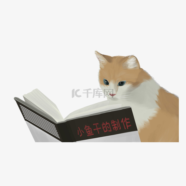 手绘猫咪与书本主题插画
