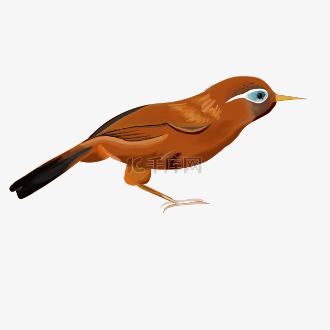 手绘插图动物小鸟PSD源文件