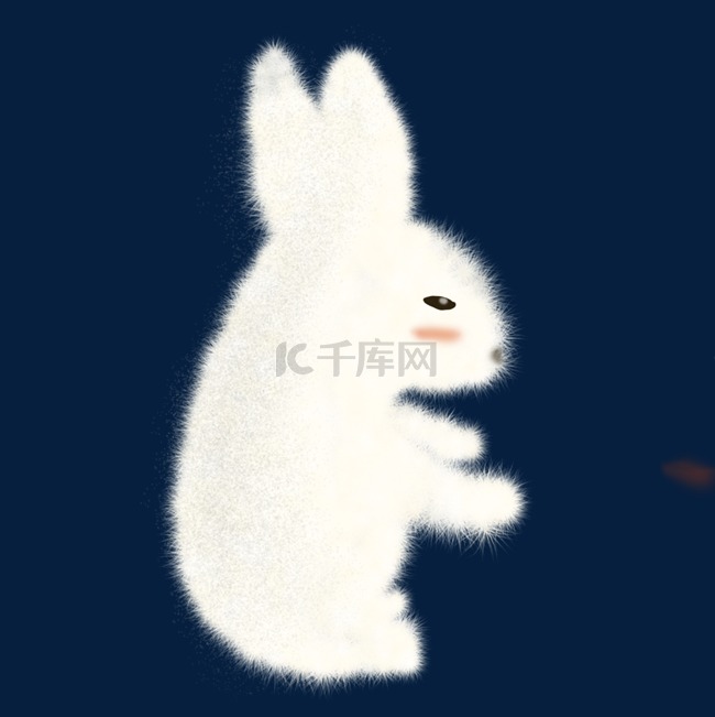  白色兔子 