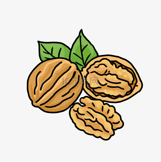 卡通手绘养生核桃果肉插画