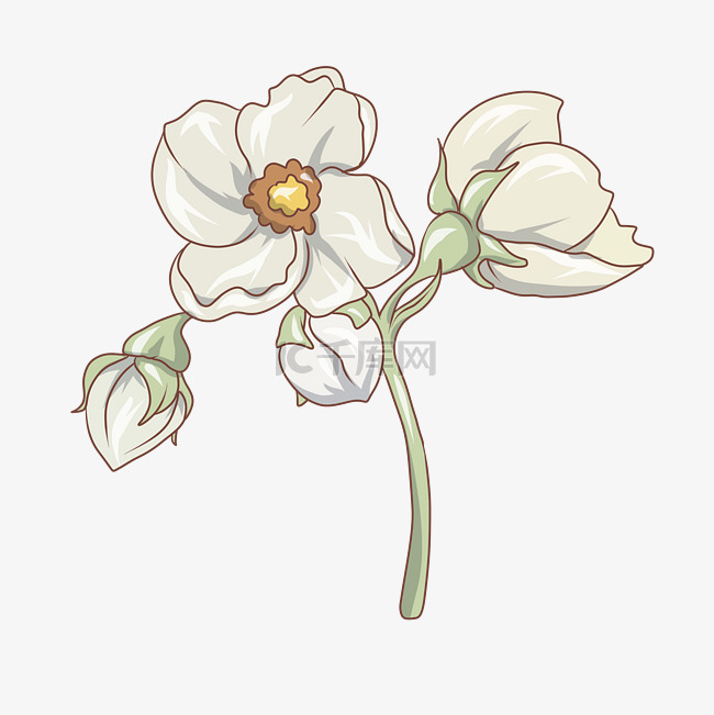 小清新白色唯美水彩花卉花朵