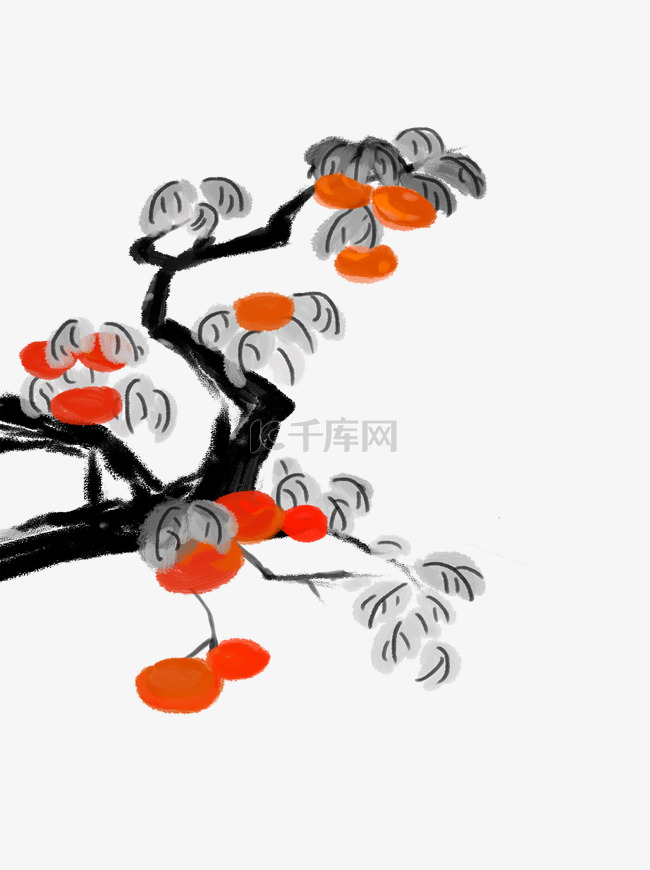 手绘中国画柿子树元素