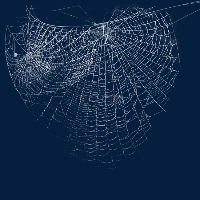 白色蜘蛛网蛛线丝效果设计