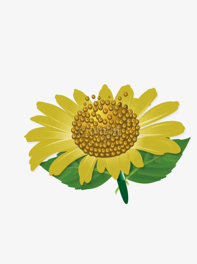 手绘一朵向日葵花植物设计可商用