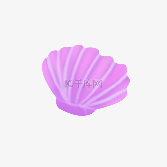 紫色小贝壳