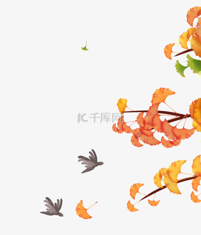 秋天飞鸟树枝