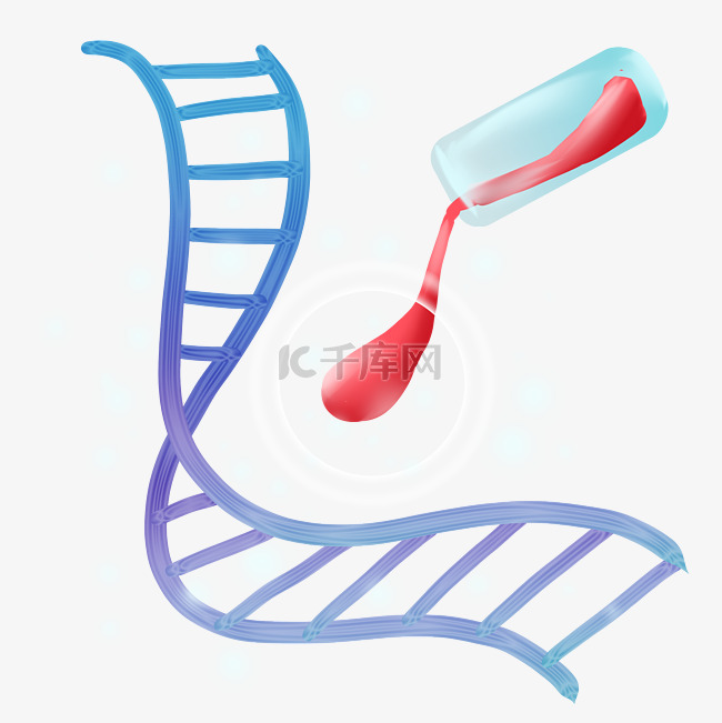 DNA检测分子结构