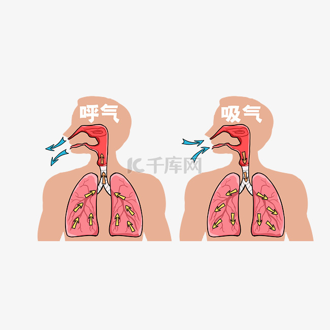 呼吸循环方式