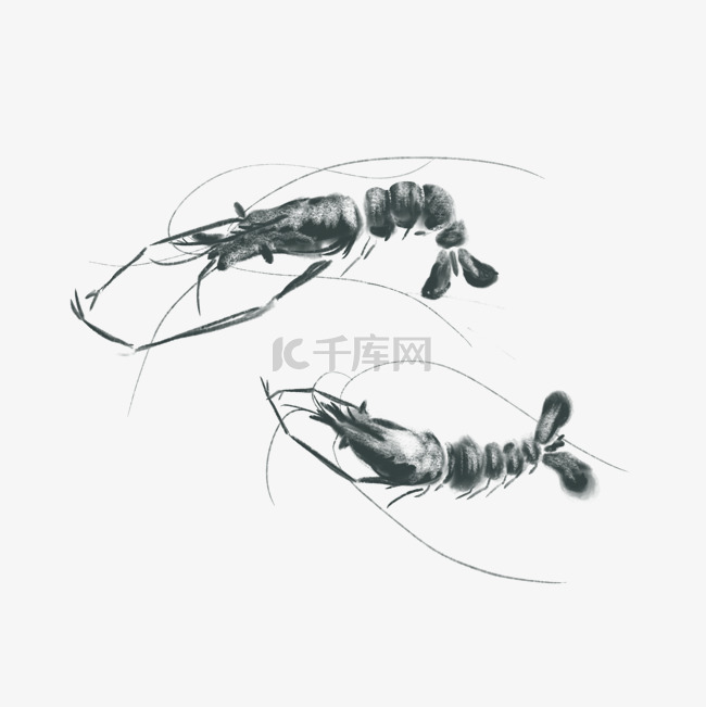 水墨水彩中国小河虾