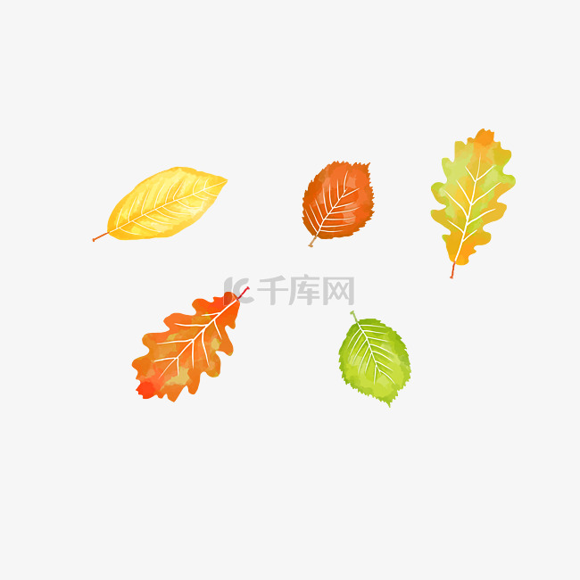 秋季水彩树叶