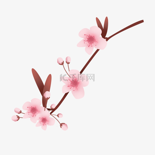 粉色的春天樱花插画