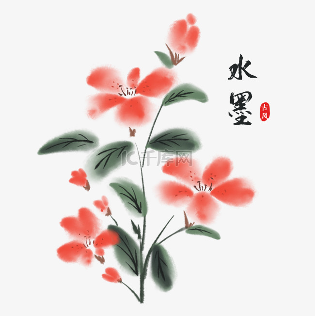 中国风水墨植物花朵