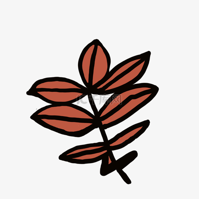 红色叶子植物 
