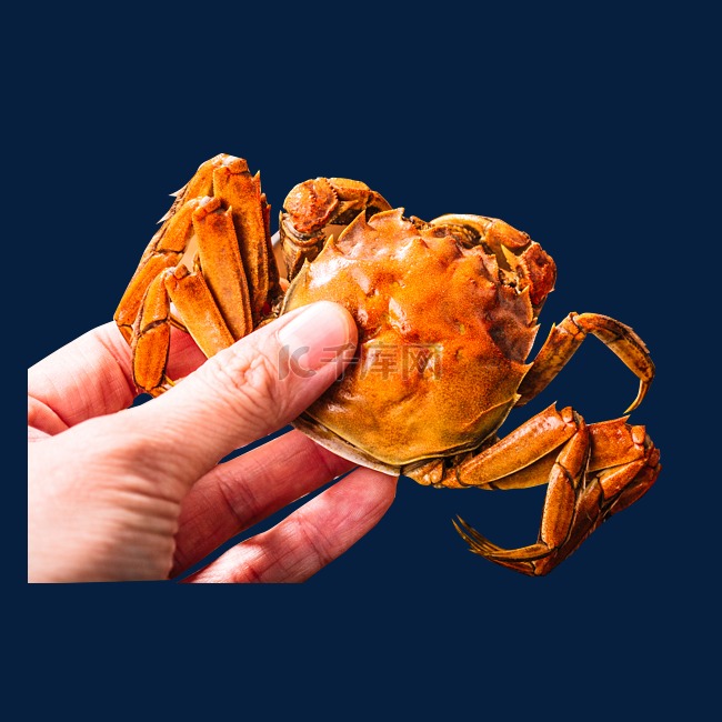 螃蟹海蟹