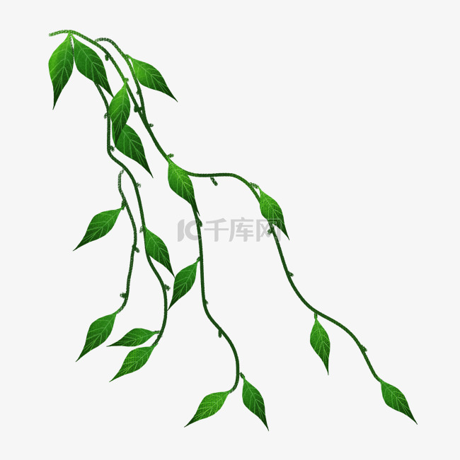 绿色小清新藤蔓png素材
