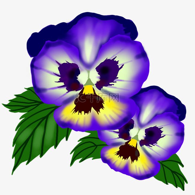 三色堇花朵植物