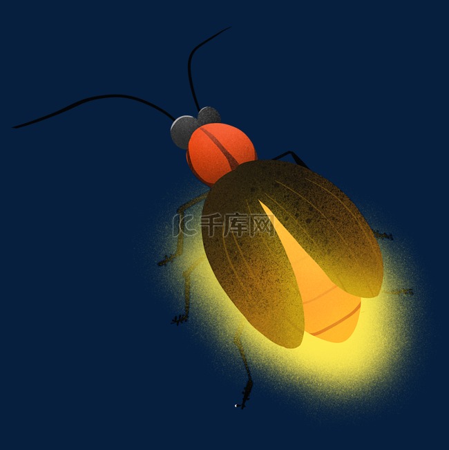 萤火虫照明动物