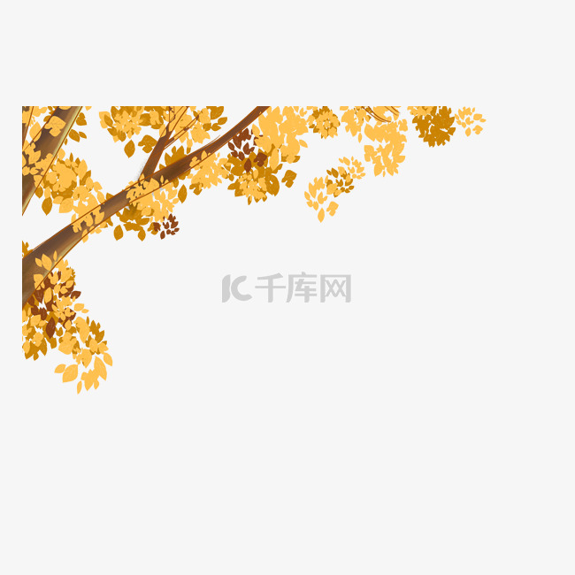 秋季黄色树枝
