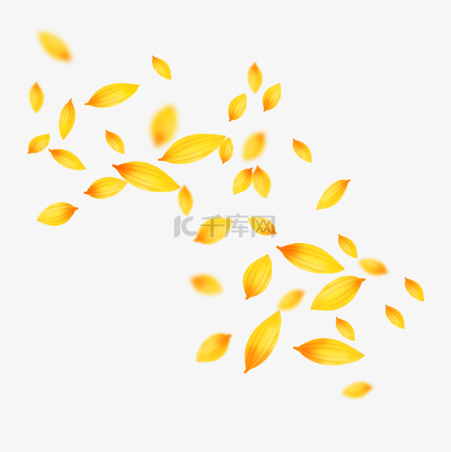 黄色花斑漂浮