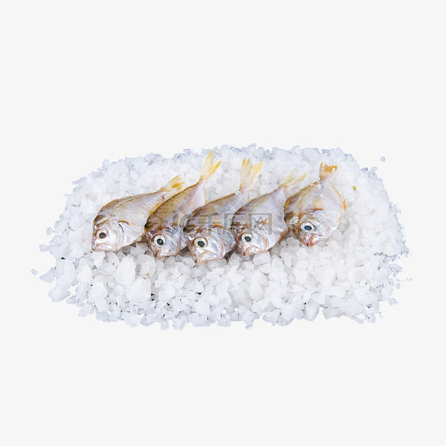 冷冻水产海鲜油叶鱼