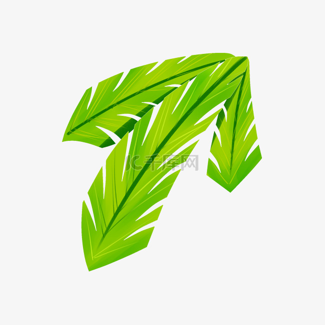 绿色植物芭蕉叶插图