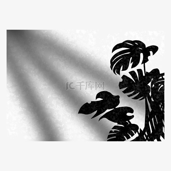 植物投影棕榈树ins黑白影子