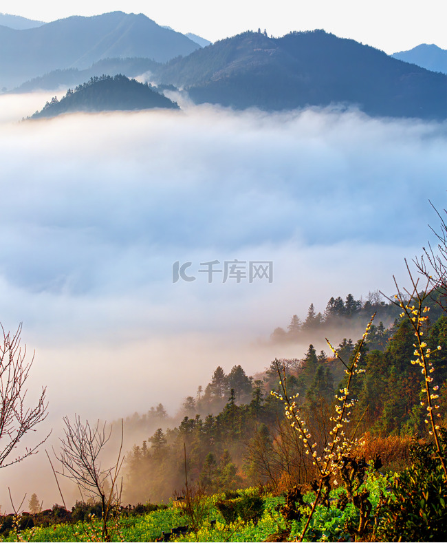 早晨梅花山区景色景区旅游