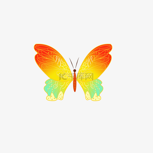 漂亮的彩色蝴蝶插图