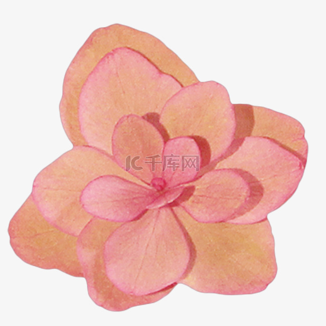 粉色绣花球花朵