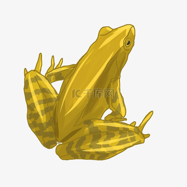 黄色青蛙图案