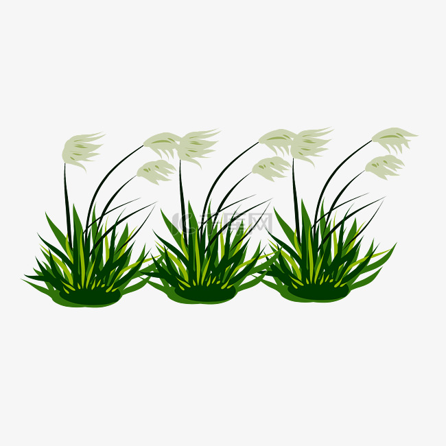 刮风的草地植物插画