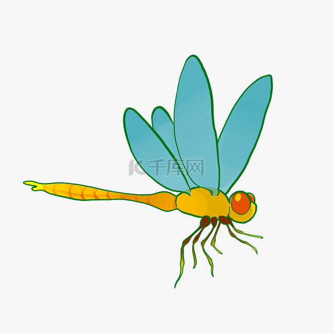 黄蜻蜓蓝翅膀