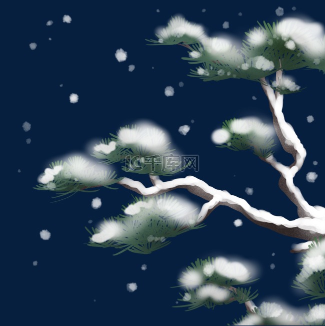 冬天雪中的松树