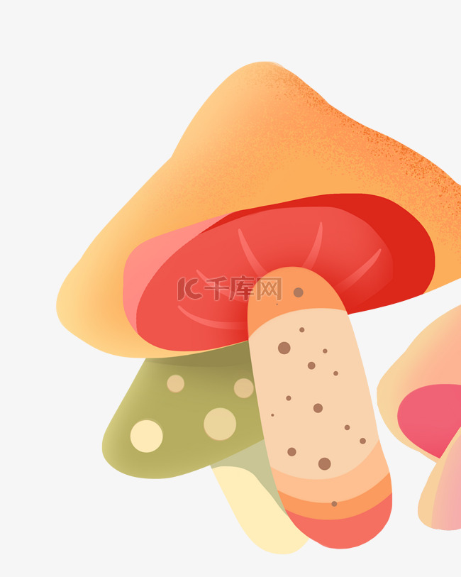 春季植物蘑菇