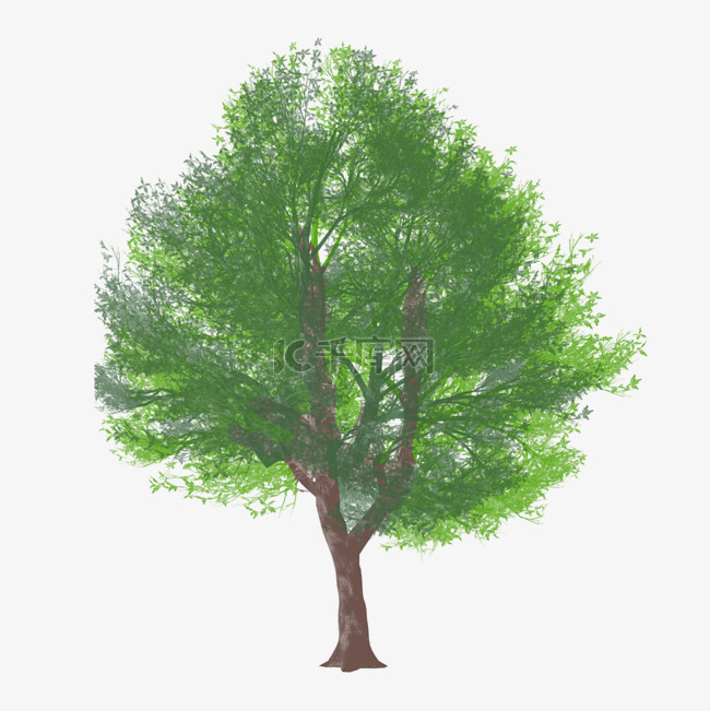 绿色植物大树元素