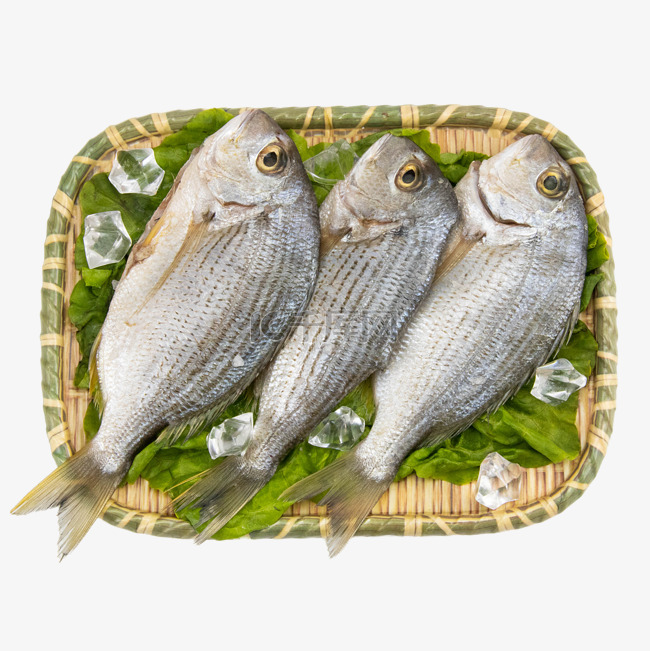 海鲜斑头鱼食材