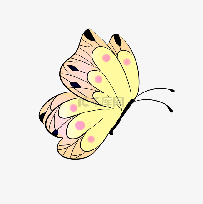 黄色蝴蝶 