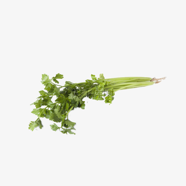 营养丰富纯绿色食品芹菜