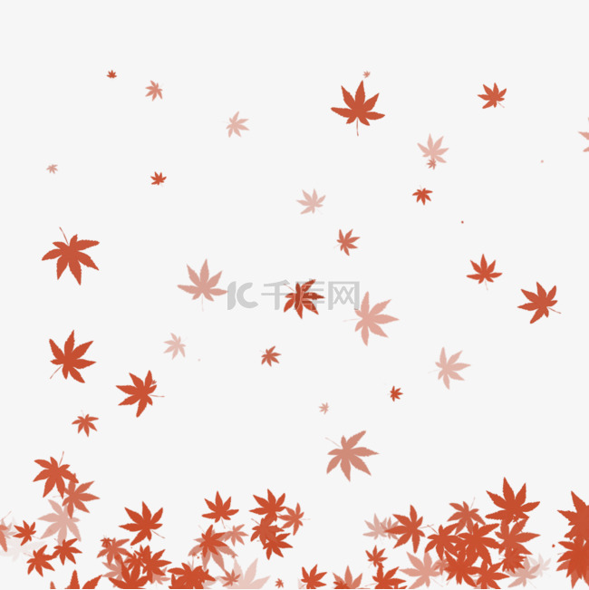 红色枫叶树叶背景