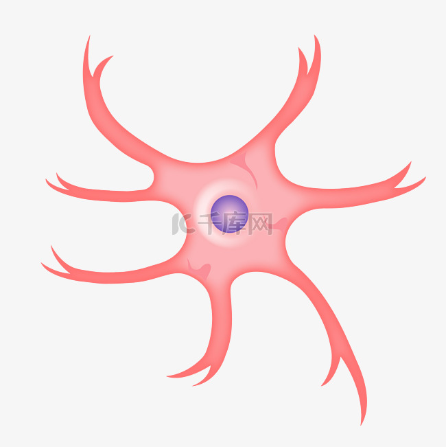 粉色医疗神经体