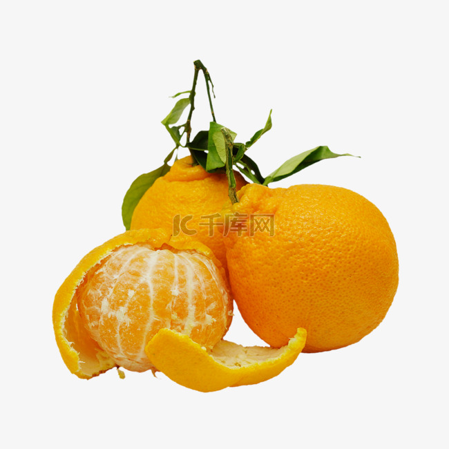 橘子蜜桔