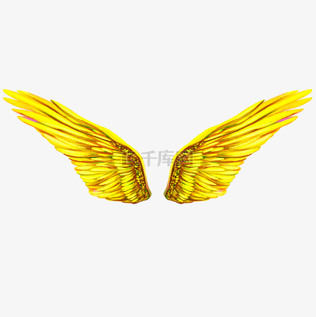 黄色羽毛翅膀