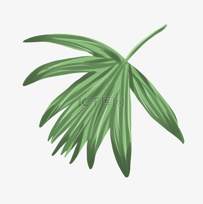 漂亮的棕榈树插画