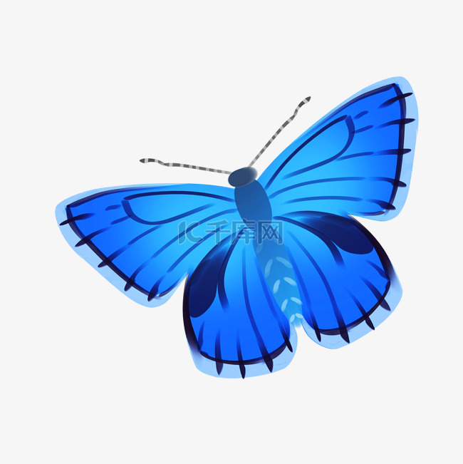 天蓝色的蝴蝶
