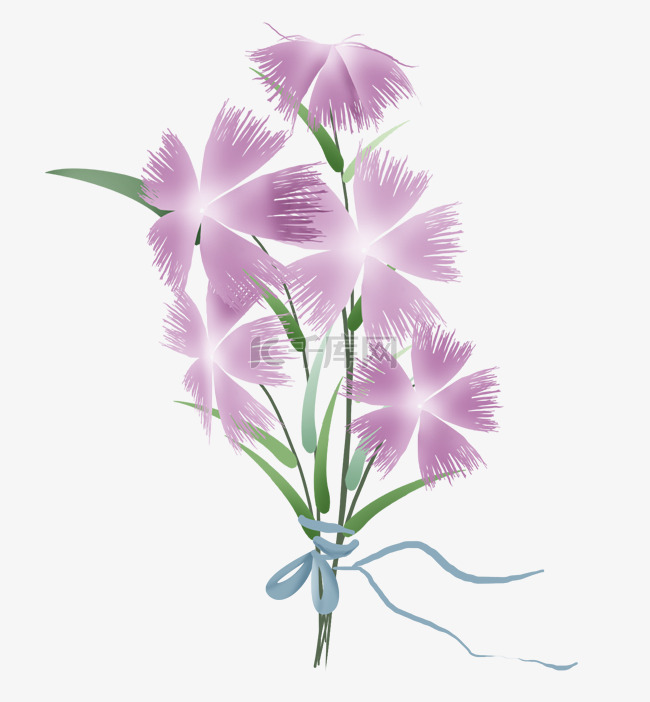 淡紫色瞿麦花花束