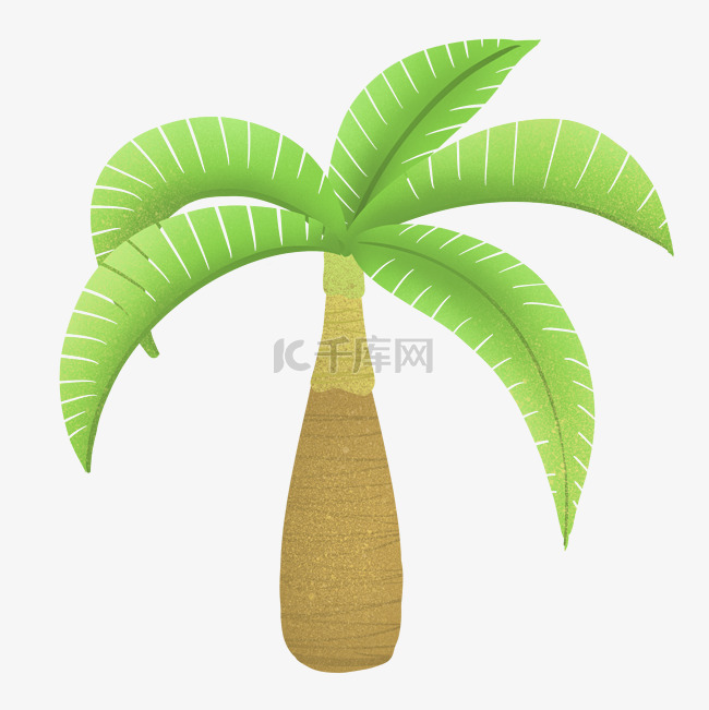 热带椰子树图案