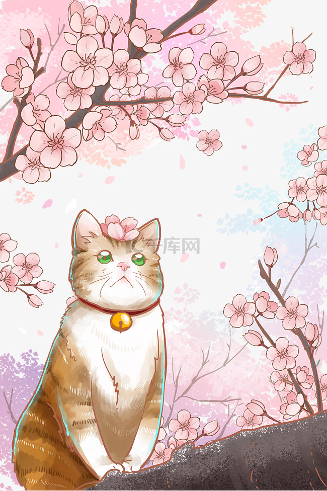 樱花樱花节樱花季春天动物猫