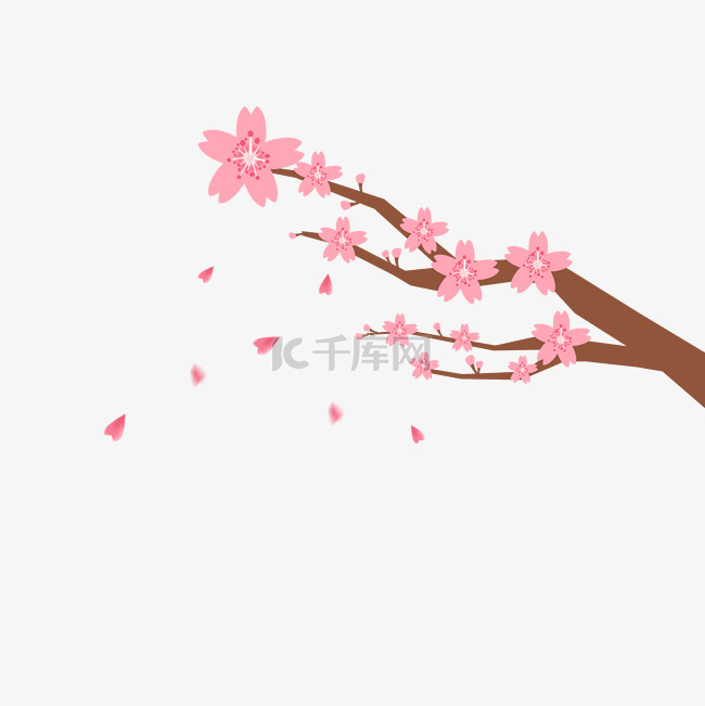 粉色樱花树春天